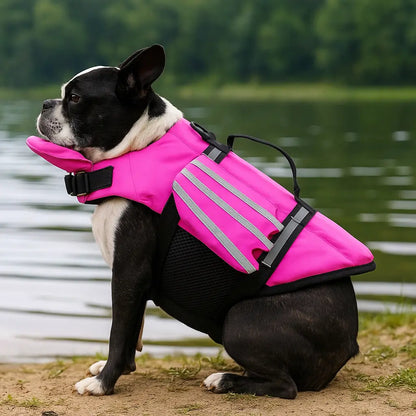 Dog Life Jacket with Chin Rest | Secure Buoyancy & Adjustable