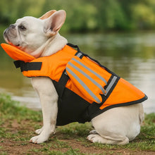Dog Life Jacket with Chin Rest | Secure Buoyancy & Adjustable