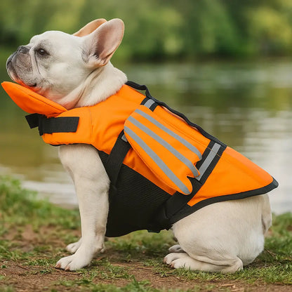 Dog Life Jacket with Chin Rest | Secure Buoyancy & Adjustable