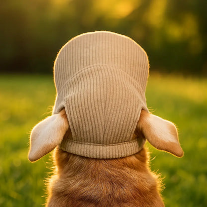 Casquette d'été pour chiens | Casquette en velours côtelé respirante avec trous pour les oreilles
