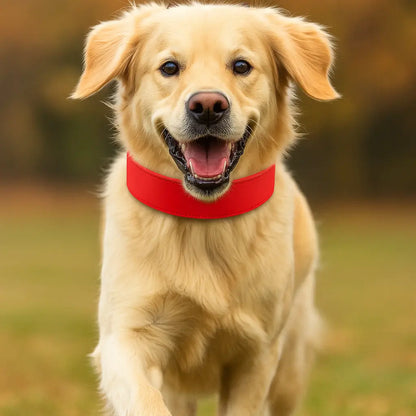 Leather Dog Collar | Durable & Adjustable for Large Dogs