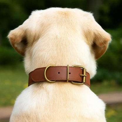 Leather Dog Collar | Durable & Adjustable for Large Dogs