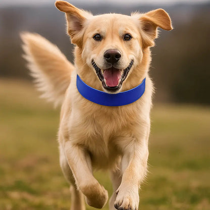 Leather Dog Collar | Durable & Adjustable for Large Dogs