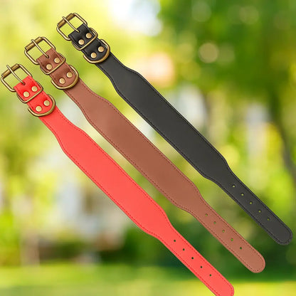 Leather Dog Collar | Durable & Adjustable for Large Dogs