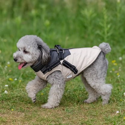 Wasserdichter Winter Hundemantel mit Geschirr | Warm & Gepolstert
