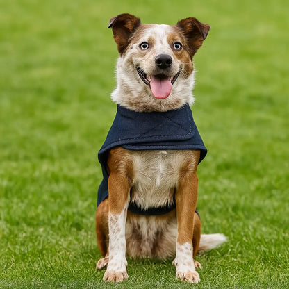 Waterproof Dog Jacket | Warmly Lined Winter Coat