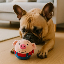 BouncyBalls – Le jouet interactif pour chiens