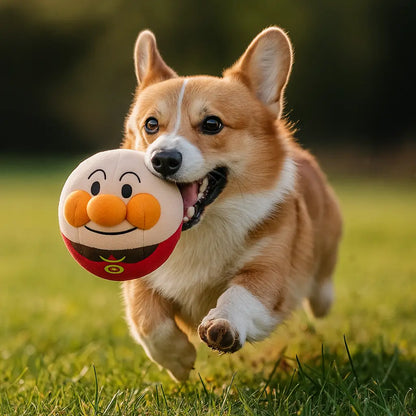 BouncyBalls – The Interactive Dog Toy