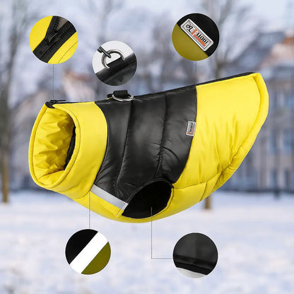 Winter Hundemantel mit D-Ring | Wasserdichte & Warme Hundejacke