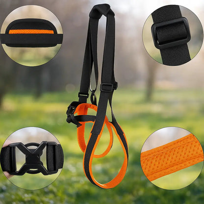 Dog carrying aid rear | padded & stable for support