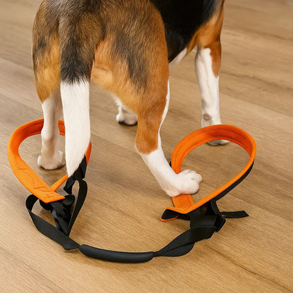 Dog carrying aid rear | padded & stable for support