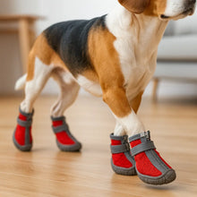 Chaussures antidérapantes pour chiens | Protection des pattes, étanches & respirantes