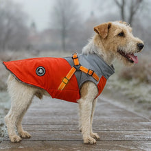 Wasserdichter Winter Hundemantel mit Geschirr | Warm & Sicher