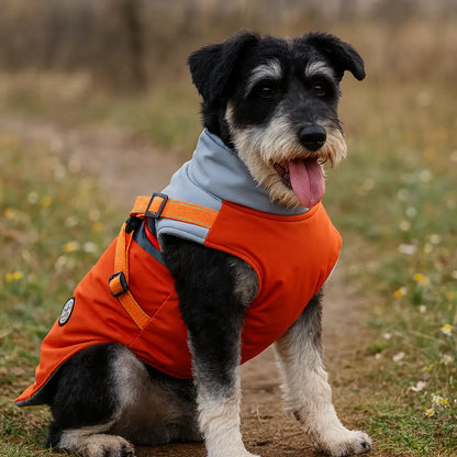 Wasserdichter Winter Hundemantel mit Geschirr | Warm & Sicher