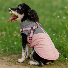 Wasserdichter Winter Hundemantel mit Geschirr | Warm & Sicher