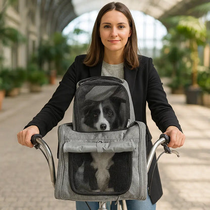 VeloPfote – Der sichere Fahrradkorb für entspannte Ausflüge mit deinem Hund