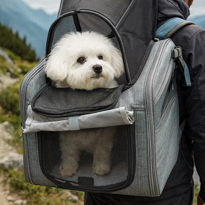 VeloPfote – Der sichere Fahrradkorb für entspannte Ausflüge mit deinem Hund