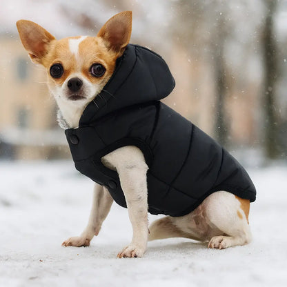 Dog Coat Winter Reversible Jacket | Waterproof, Warm & Double-Sided Wearable