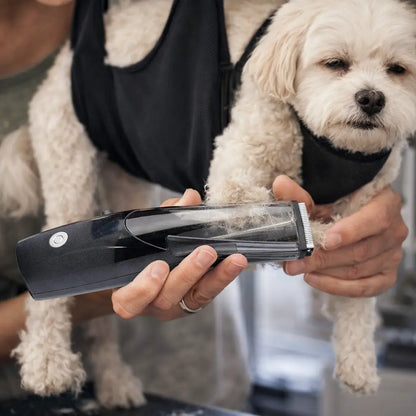 Tondeuse silencieuse pour chien avec aspiration | Sans fil pour toilettage canin
