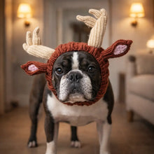Dog Hearing Protection | Noise-Reducing Dog Hat Made of Knit
