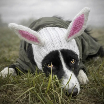Dog Hearing Protection | Noise-Reducing Dog Hat Made of Knit