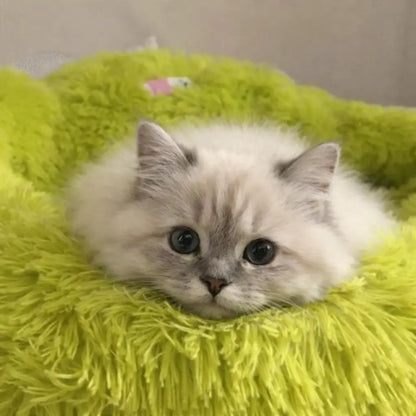 Kuscheliges Katzenbett | Beruhigender Donut-Schlafplatz aus Plüsch