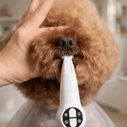 Dog Care Trimmer 2-in-1 | Dog Grooming & Nail File with LED