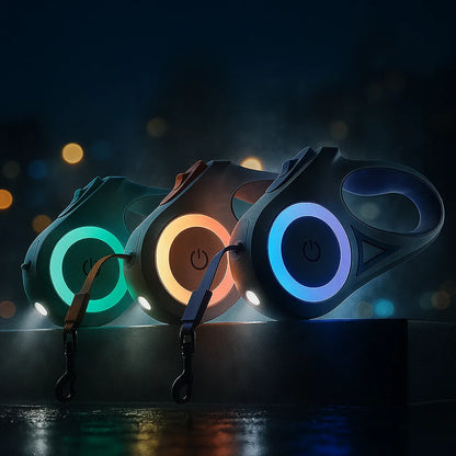 Hundeleine LED Rollleine | sichtbar & sicher bei Nacht