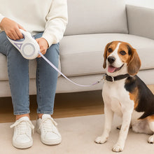 Dog Leash LED Retractable | visible & safe at night