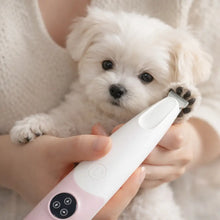 Quiet Dog Grooming Trimmer with LED | Cordless & Waterproof