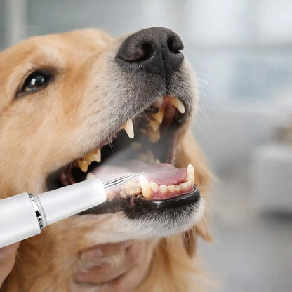 Soin dentaire pour chien | Nettoyeur dentaire à ultrasons pour toilettage sûr