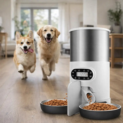 Distributeur automatique de nourriture pour chien avec minuterie & gamelle inox