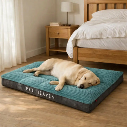 Dog bed made of corduroy | Soft, washable & non-slip for dogs