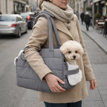 Dog Carrier Winter | Warm & Windproof Transport Bag