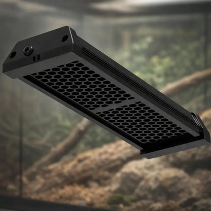 Lampe UVB 10.0 pour reptiles avec UVA & LED | Pour dragons barbus & geckos