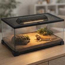 Lampe UVB 10.0 pour reptiles avec UVA & LED | Pour dragons barbus & geckos