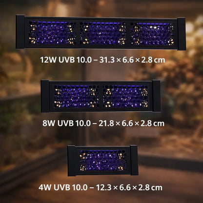 Lampe UVB 10.0 pour reptiles avec UVA & LED | Pour dragons barbus & geckos