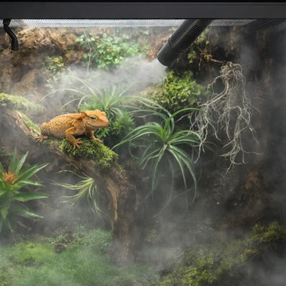 Humidificateur d'air pour reptiles 4L avec tuyau | Brumisateur silencieux pour terrarium