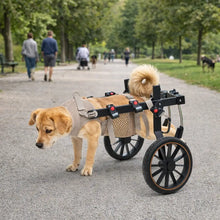 Adjustable Dog Cart for Hind Legs | Mobility Aid