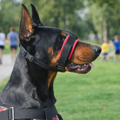 Dog Muzzle made of Nylon | Adjustable & Comfortable