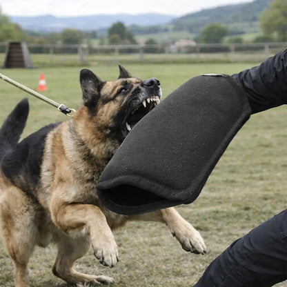 Beißarm Hundetraining | Gepolsterter Trainingsärmel für Hunde