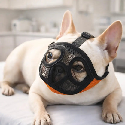 Muzzle for Dogs with Short Snouts | Breathable & Safe