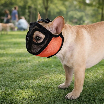Muzzle for Dogs with Short Snouts | Breathable & Safe