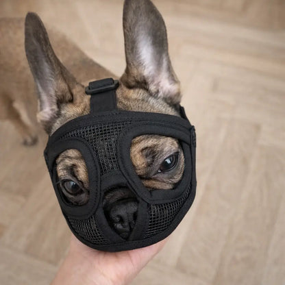 Muzzle for Dogs with Short Snouts | Breathable & Safe