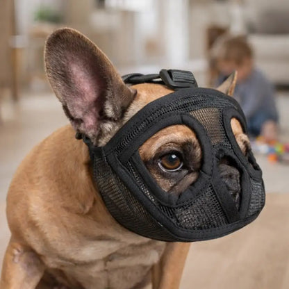 Muzzle for Dogs with Short Snouts | Breathable & Safe