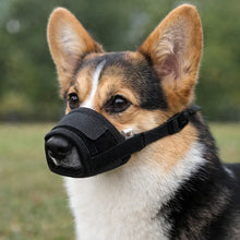 Muzzle for Dogs | Breathable & Adjustable made of Mesh-Nylon