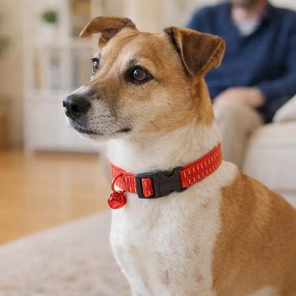 Zeckenhalsband für Hunde | Verstellbarer Schutz vor Insekten