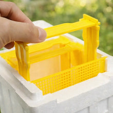 Beehive Mating Box for Queen Breeding made of Insulating Foam