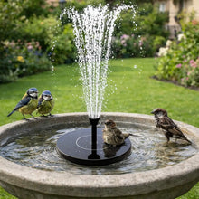 Solar Fountain for Birdbath | 3.5 W with 6 Nozzles