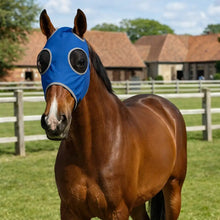 Breathable Fly Mask for Horses | Protection from Insects & Sun